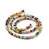 Opaque Handmade Lampwork Beads Strands LAMP-H061-04-3