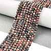 Natural Leopard Skin Jasper Beads Strands G-M438-A02-01-2