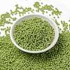 MIYUKI Round Rocailles Beads SEED-G008-RR0439-2