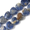 Natural Sodalite Beads Strands G-D316-B08-2