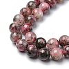 Natural Rhodonite Beads Strands G-C029-04A-4