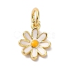 Brass Enamel Charms KK-L216-006G-01-1