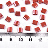 FGB 2-Hole Glass Seed Beads X-SEED-S031-L-ST125-2