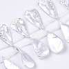 Spray Painted Natural Freshwater Shell Beads Strands SHEL-S276-69C-1