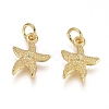 Electroplated Alloy Charms PALLOY-G267-06G-2