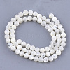 Natural White Shell Beads SHEL-T012-49C-2