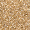 MIYUKI Delica Beads X-SEED-J020-DB0099-3