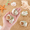 4Pcs Natural Shell FIND-PH0027-49-2
