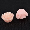 Resin Beads X-RESI-B3455-A118-2