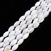 Natural Freshwater Shell Beads Strands X-SHEL-N026-212-A01-1