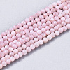 Natural Freshwater Shell Beads Strands X-BSHE-T009-01D-1
