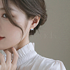 10 Pair 10 Color Transparent Resin & Wood Stud Earring Findings DIY-FW0001-09-6