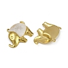 304 Stainless Steel Resin Pendants STAS-L302-05G-2