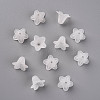 Transparent Acrylic Beads PLF018-01-3