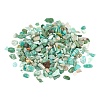 Natural Amazonite Chip Beads G-FS0001-16-2