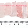 Natural Rose Quartz Beads Strands G-L551B-17-4