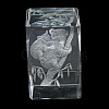 3D Laser Engraving Animal Glass Figurine DJEW-R013-01E-3