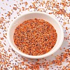 MIYUKI Delica Beads SEED-X0054-DB2062-3