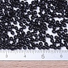 MIYUKI Round Rocailles Beads X-SEED-G007-RR0401-4