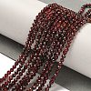 Natural Garnet Beads Strands G-I341-09C-2