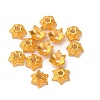 Tibetan Style Bead Caps AA188-G-NR-2