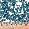 TOHO 6/0 Round Beads SEED-XTR06-0167BD-2
