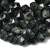 Natural Kambaba Jasper Beads Strands G-Z119-A20-02-5