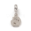 Alloy Rhinestone European Dangle Charms PALLOY-I218-25P-2