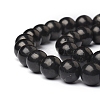 Natural Shungite Beads Strands G-I271-C03-10mm-3