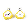 Handmade Polymer Clay Charms CLAY-N006-37B-01H-2
