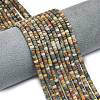Natural Red Picasso Jasper/Polychrome Jasper Beads Strands G-P575-B10-4x2mm-1