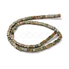 Natural Unakite Beads Strands X-G-F631-K19-3