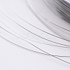 Steel Wire TWIR-E001-0.1mm-3