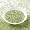 MIYUKI Round Rocailles Beads SEED-X0054-RR0378-2