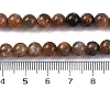 Natural Black Moonstone Beads Strands G-A219-A01-02-7