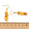 Natural Amber Chip Dangle Earrings EJEW-JE07018-5