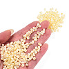 6/0 Glass Seed Beads X1-SEED-A011-4mm-142-5