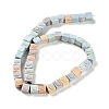 Natural Rainbow Alashan Agate Beads Strands G-NH0022-G01-01-3