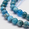 Natural Apatite Beads Strands X-G-D856-01-6.5mm-3