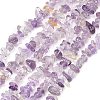 Natural Ametrine Beads Strands G-P622-A02-01-2