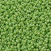 MIYUKI Round Rocailles Beads SEED-G007-RR0479-3