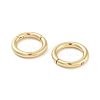 Rack Plating Brass Twister Clasp KK-G512-09A-G-2
