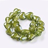 Handmade Lampwork Beads X-DT122J-2