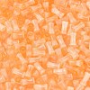 FGB Grade A Drawbench Style Glass Seed Beads SEED-Q040-01A-07-3
