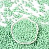 Opaque Acrylic Beads OACR-B025-06J-2