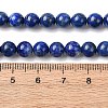 Natural Lapis Lazuli Beads Strands G-K366-G03-6mm-5