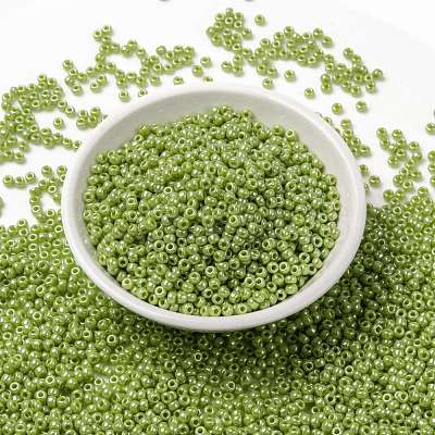 MIYUKI Round Rocailles Beads SEED-G008-RR0439-1