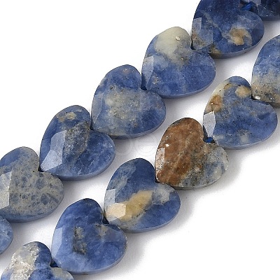 Natural Sodalite Beads Strands G-D316-B08-1
