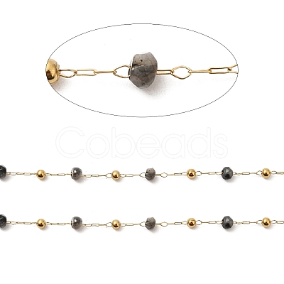 304 Stainless Steel Handmade Beaded Chains CHS-P017-A03-G-1