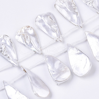 Spray Painted Natural Freshwater Shell Beads Strands SHEL-S276-69C-1